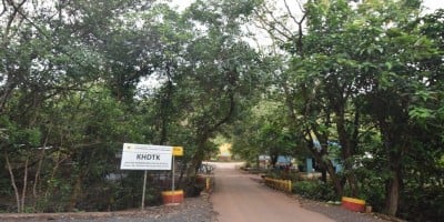 Kawasan Hutan Dengan Tujuan Khusus /KHDTK (Hutan Pendidikan dan Pelatihan) Universitas Lambung Mangkurat