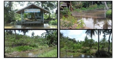 Lahan Pertanian Di Desa Tinggiran Luar Kecamatan Tamban, Kabupaten Barito Kuala Universitas Lambung Mangkurat 
